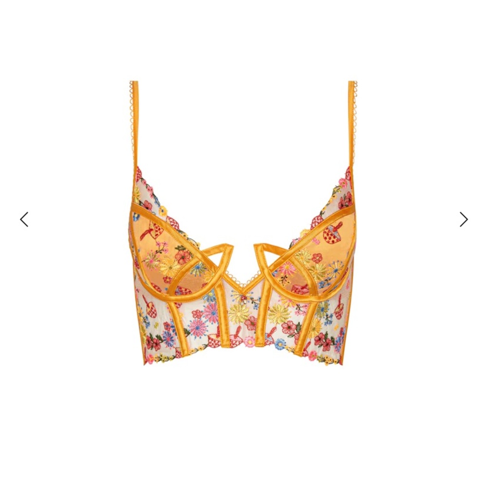 For Love & Lemons Meadow Embroidery Bustier - Orange